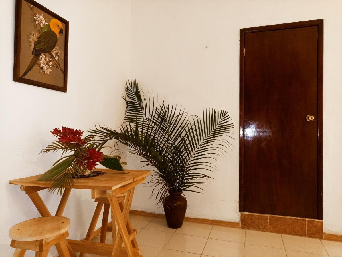 Casa De Los Pajaros - B&B Вальядолид Экстерьер фото