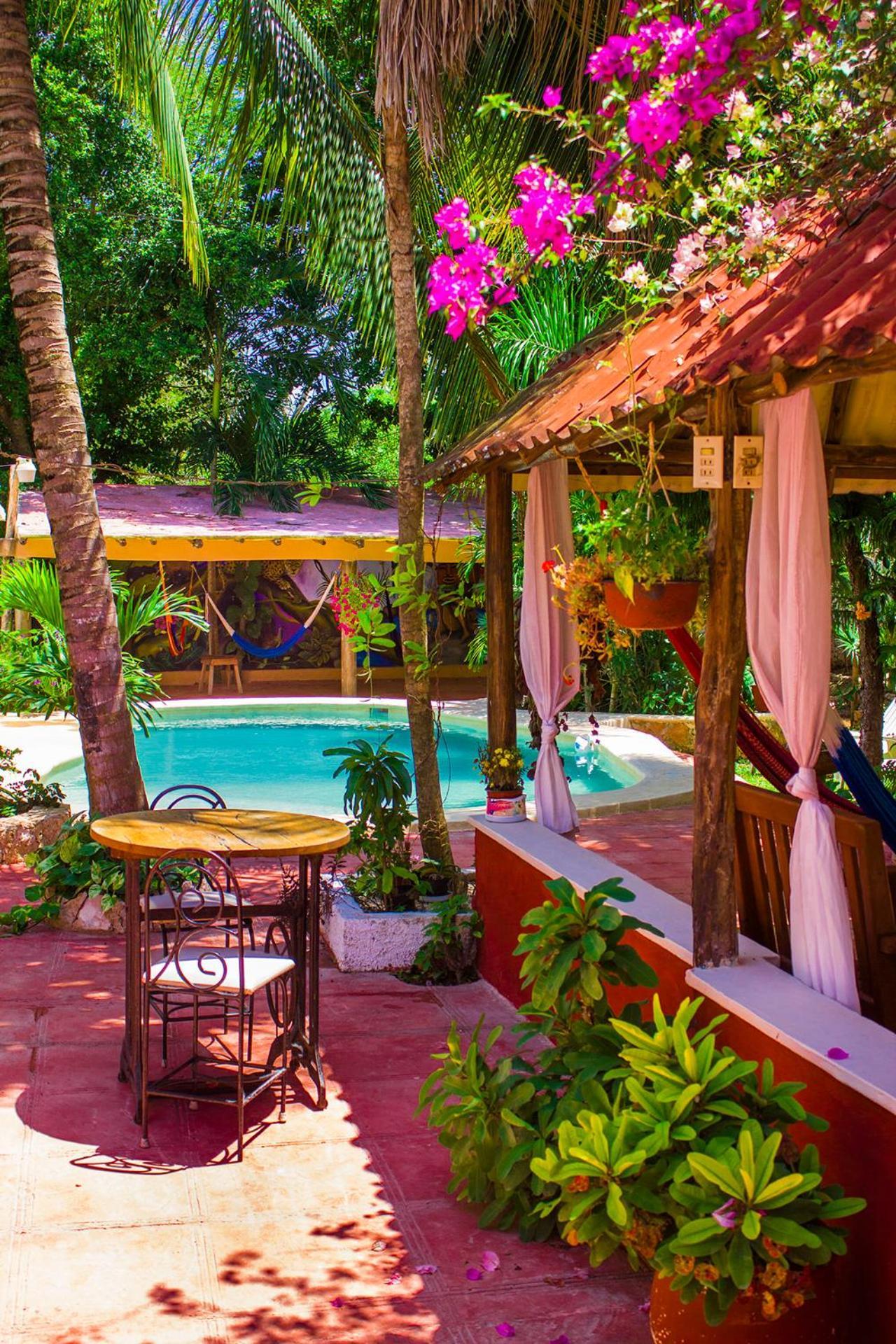 Casa De Los Pajaros - B&B Вальядолид Экстерьер фото
