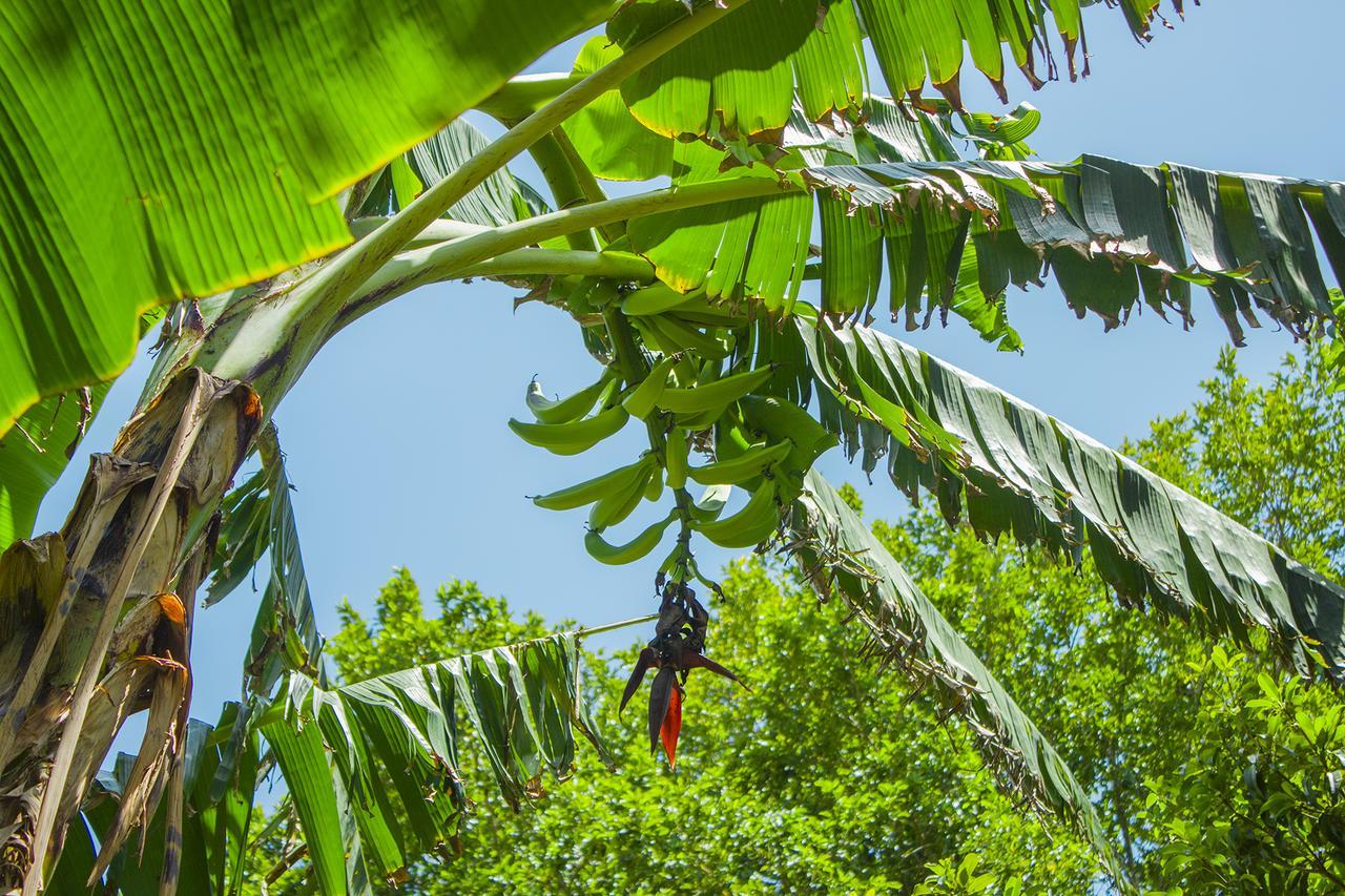 Casa De Los Pajaros - B&B Вальядолид Экстерьер фото