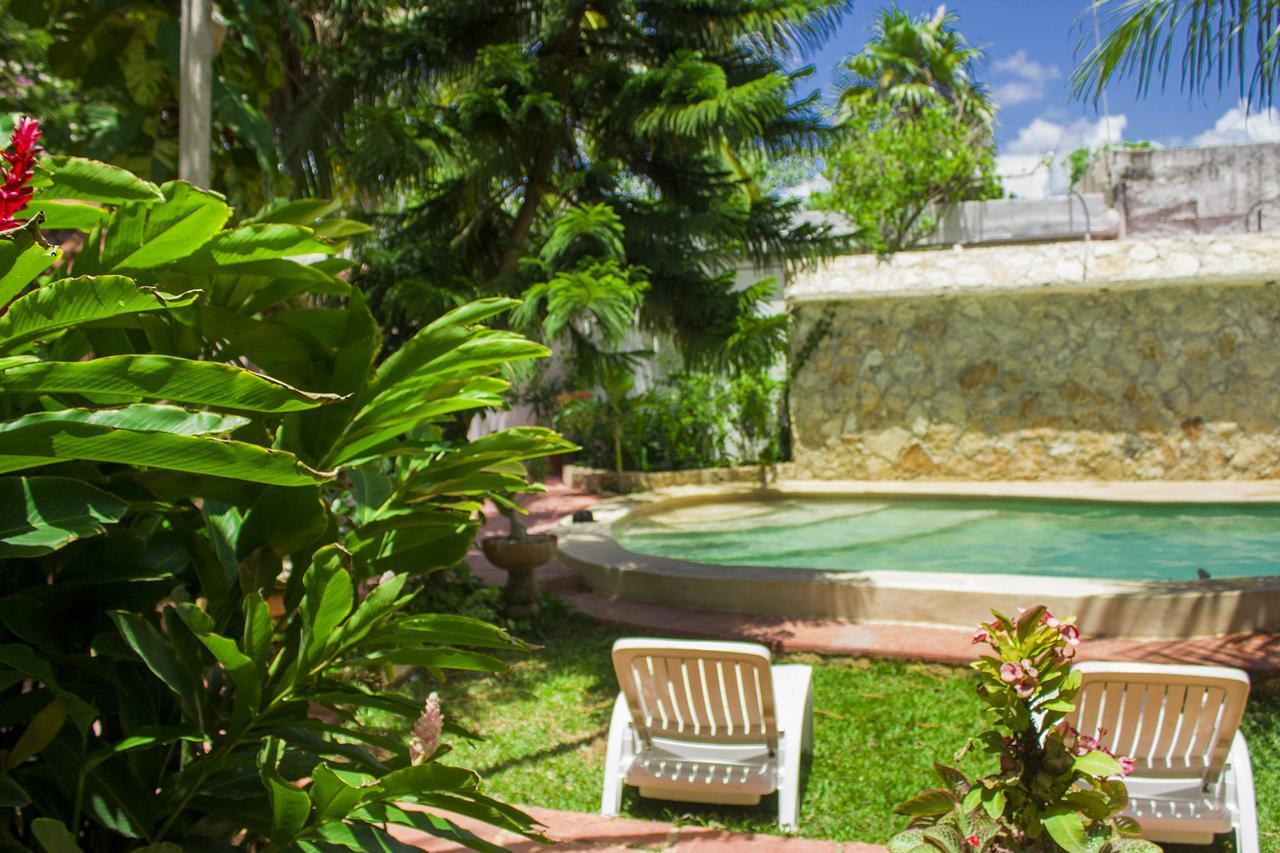 Casa De Los Pajaros - B&B Вальядолид Экстерьер фото