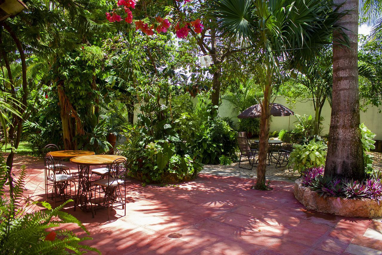 Casa De Los Pajaros - B&B Вальядолид Экстерьер фото