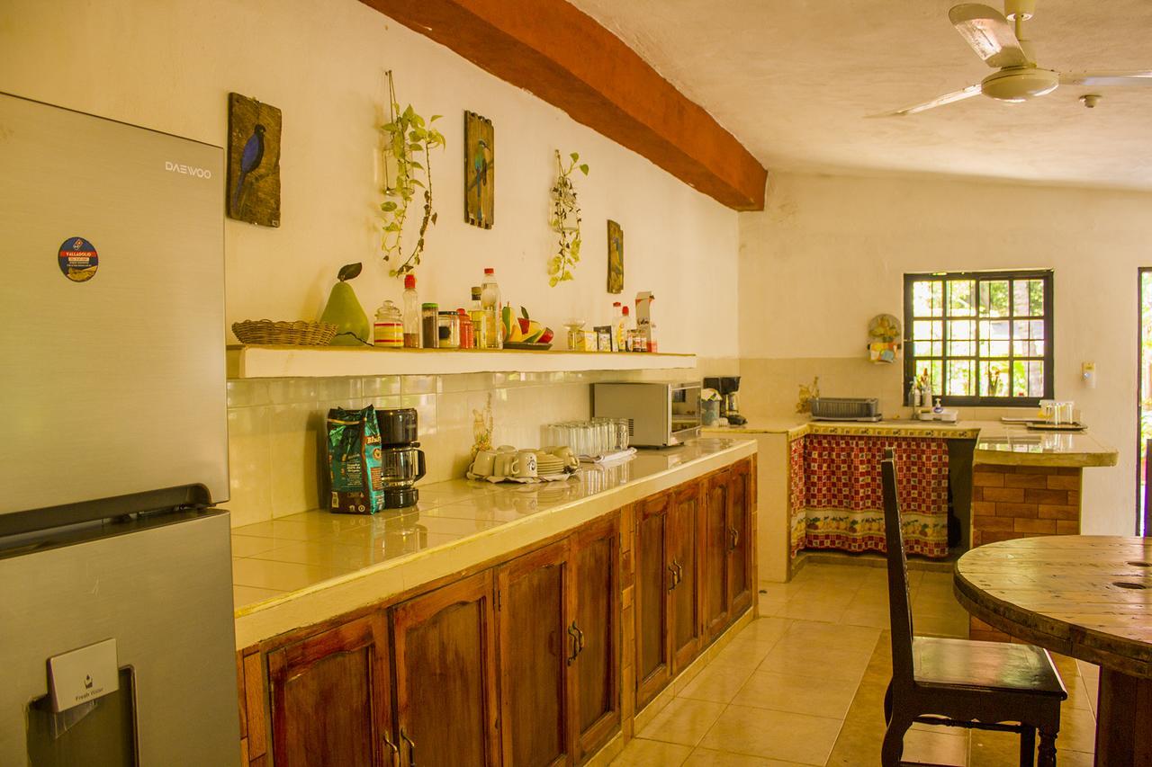 Casa De Los Pajaros - B&B Вальядолид Экстерьер фото